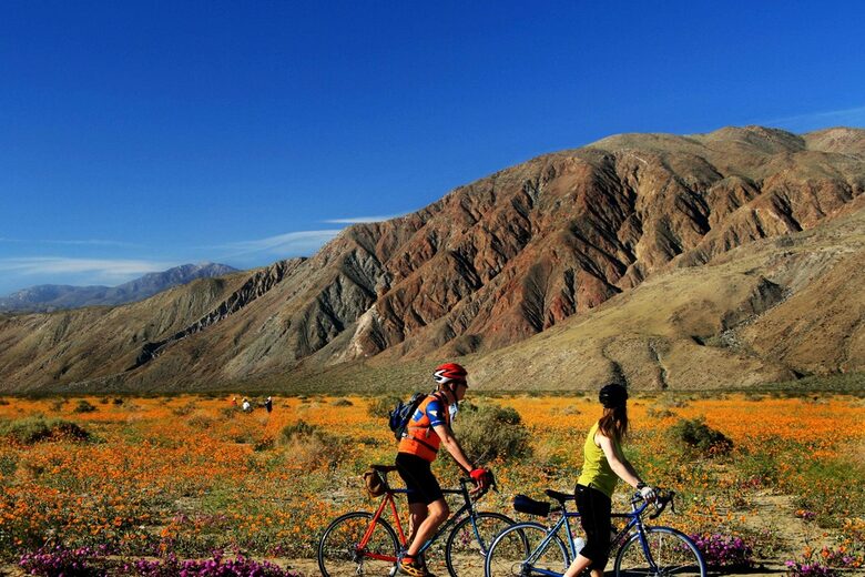 Borrego Springs/La Quinta - Borrego Springs, California