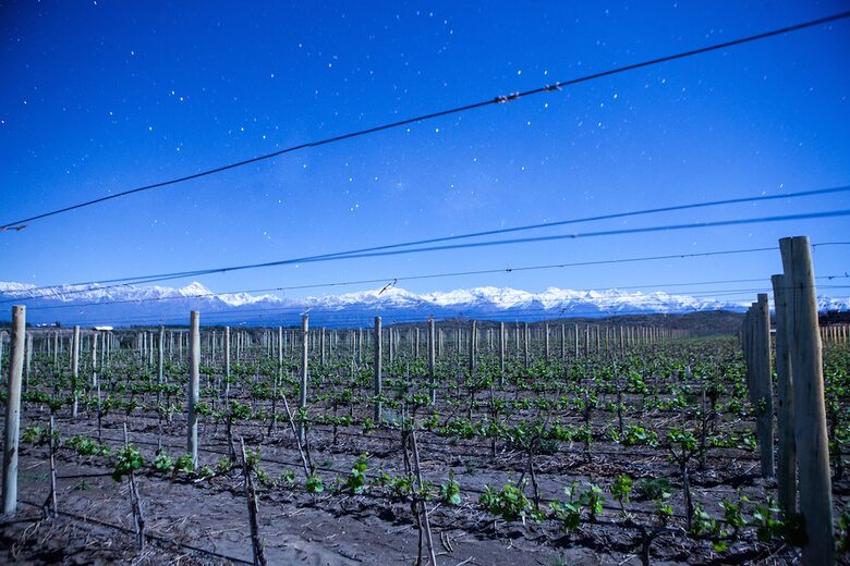 Auberge du Vin - Mendoza, Argentina