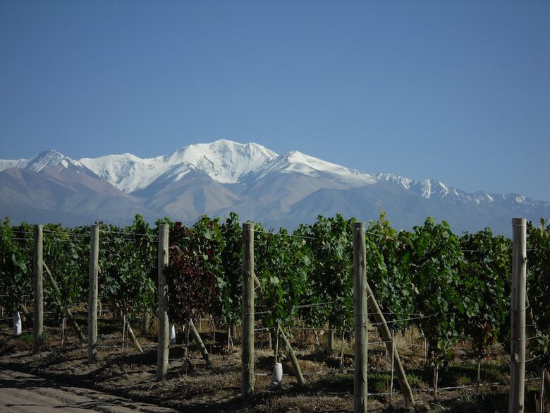 Auberge du Vin - Mendoza, Argentina