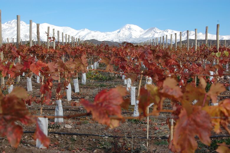 Auberge du Vin - Mendoza, Argentina