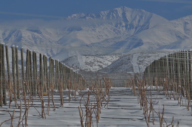 Auberge du Vin - Mendoza, Argentina