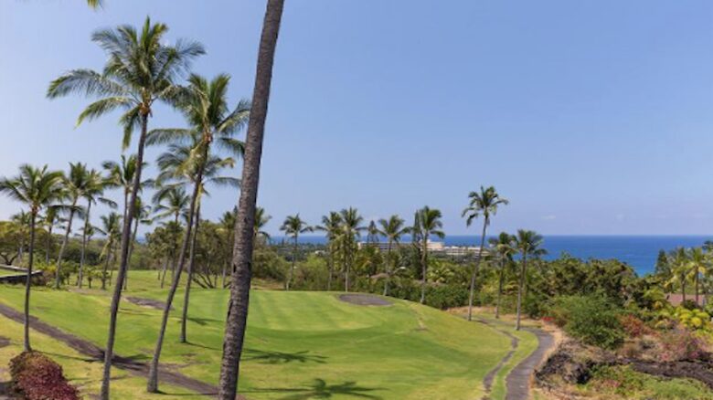 Pineapple Princess Palace - Kona, Big Island, Hawaii