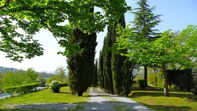 Podere Vigliano - Monteleone d'Orvieto - Terni, Italy