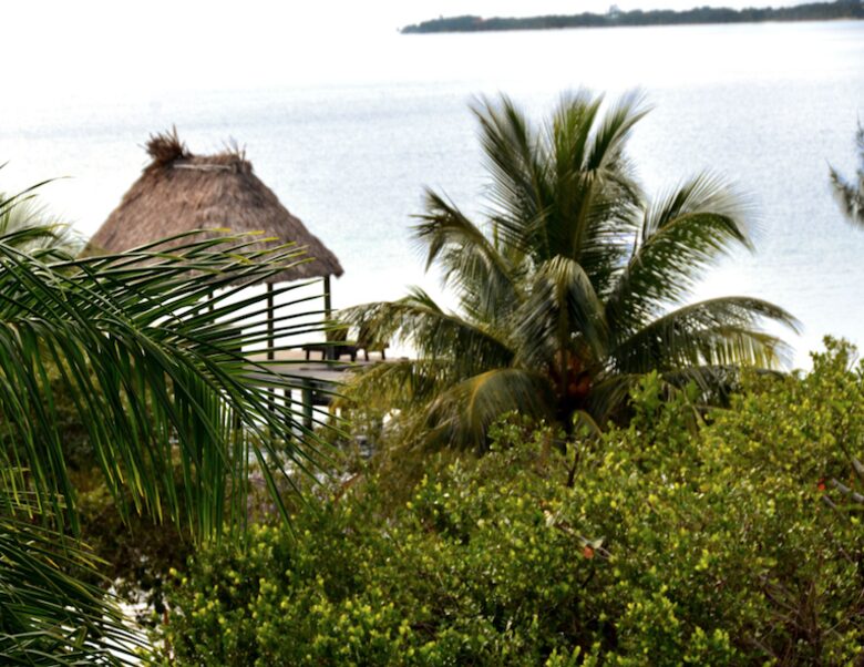 Coco Plum Villa - Placencia, Belize