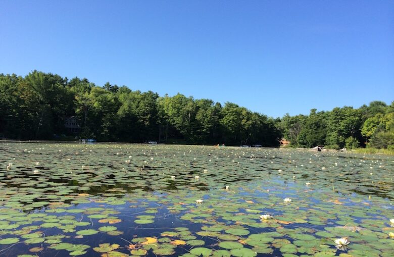 Refúgio contemporâneo em Berkshires - Stockbridge, Massachusetts