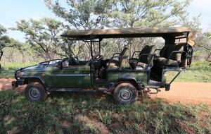 Tsheshepe Safari Lodge - Welgevonden Game Reserve, South Africa