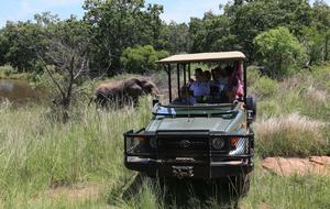 Tsheshepe Safari Lodge - Welgevonden Game Reserve, South Africa