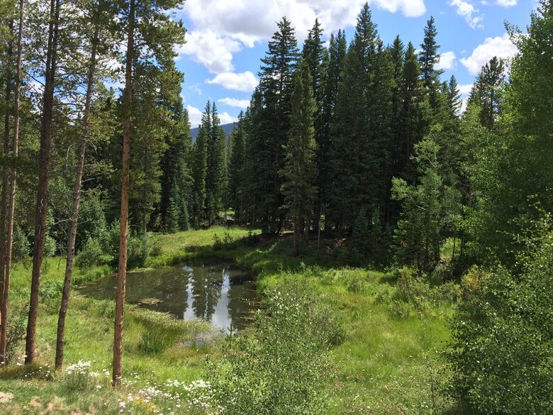 Mountain Meadow Lodge - Breckenridge, Colorado
