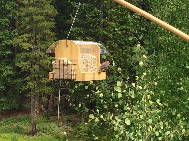 Mountain Meadow Lodge - Breckenridge, Colorado