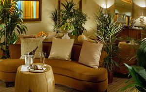 St. Regis Aspen Club, Aspen - 2 Bedroom Residence