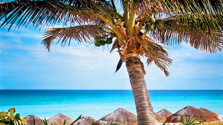 The Westin Lagunamar Ocean Resort - Cancun, Mexico