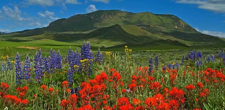 Sheraton Steamboat 1 Bedroom Luxury Villa - Steamboat Springs, Colorado