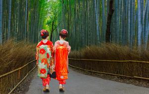 THIRDHOME CUSTOM TRAVEL CURATED JOURNEY - ANCIENT TO MODERN CULTURES OF JAPAN, Japan