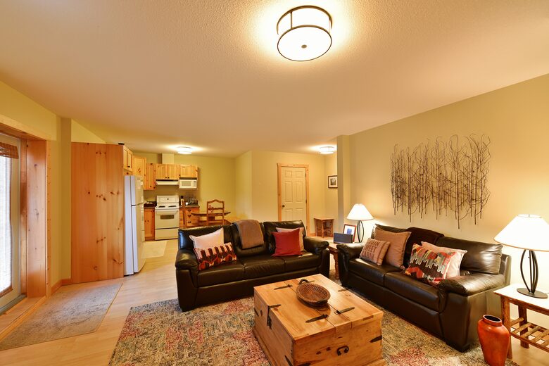 Basement - Living area with second kitchen