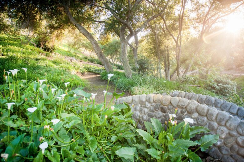 Le Rêve - Fallbrook, California