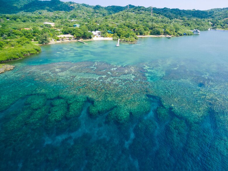 Vivaro Luxury Beachfront with Amazing Private Beach! - West End, Honduras