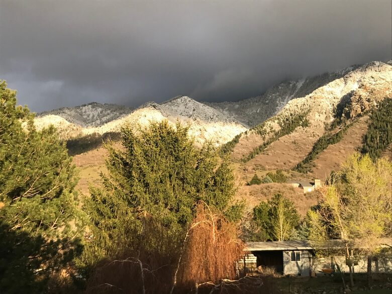 Modern Mountain View - Sandy, Utah