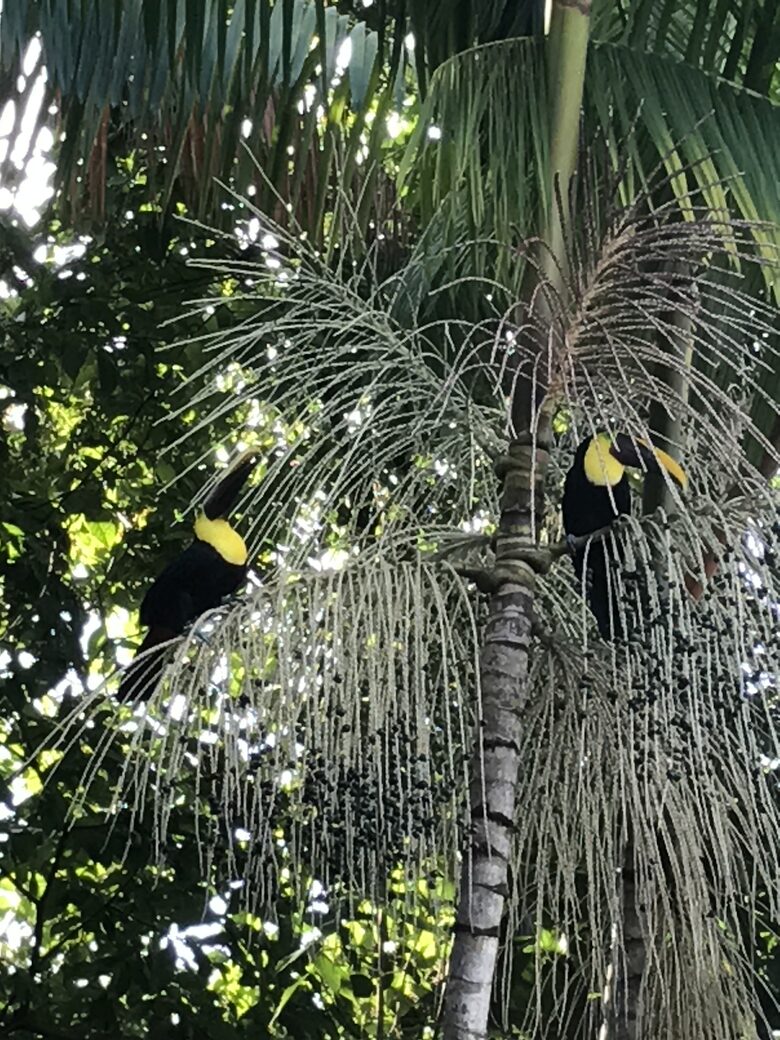 Casa Alta Vista - Dominical, Costa Rica
