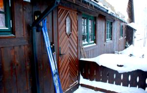 Home Exchange in Beitostølen, Norway
