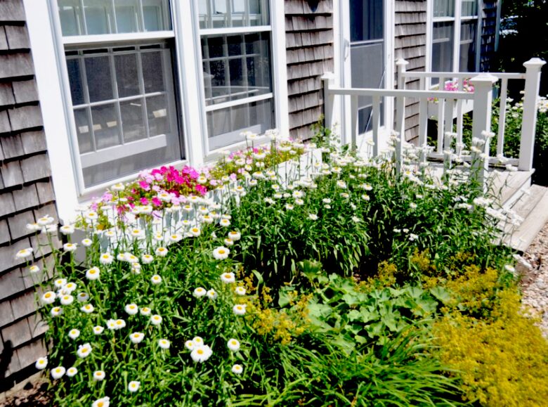 Honeysuckle Cottage - 4 Bedrooms plus 2 Lofts - Just Blocks to Center of Town! - Nantucket, Massachusetts