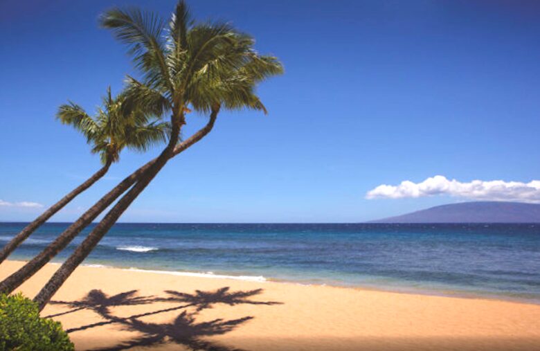 Oceanfront Maui Ocean Club Kaanapali 2 Bedroom, 3 Bathroom - Lahaina - Maui, Hawaii