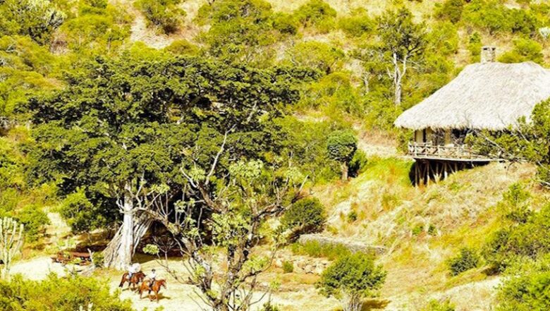 The Round House and Bunk Room at Olepangi Farm - full board - Mt. Kenya - Timau, Kenya