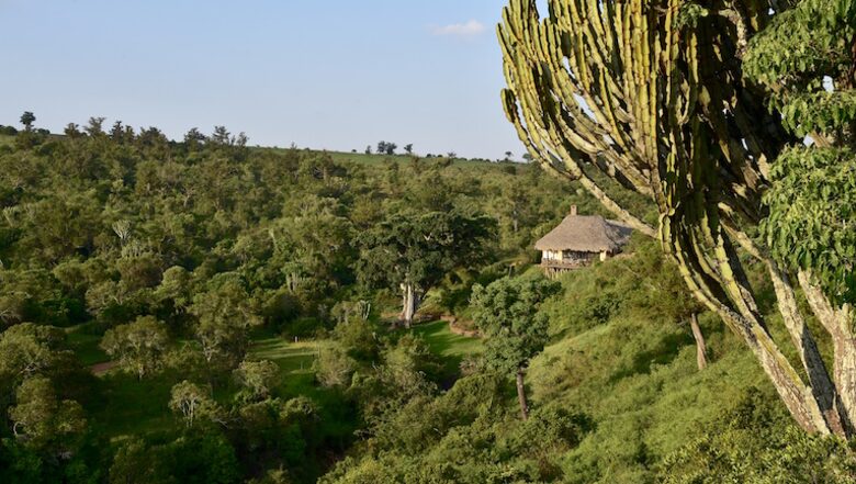 The Round House and Bunk Room at Olepangi Farm - full board - Mt. Kenya - Timau, Kenya