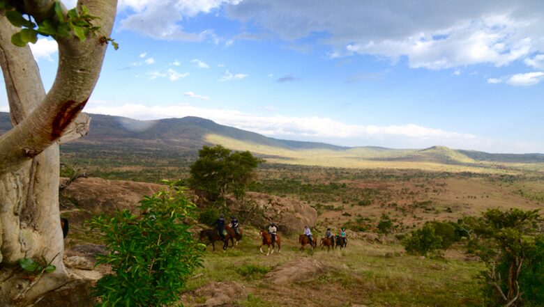 The Round House and Bunk Room at Olepangi Farm - full board - Mt. Kenya - Timau, Kenya