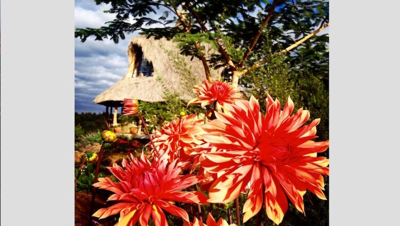 The Round House and Bunk Room at Olepangi Farm - full board - Mt. Kenya - Timau, Kenya