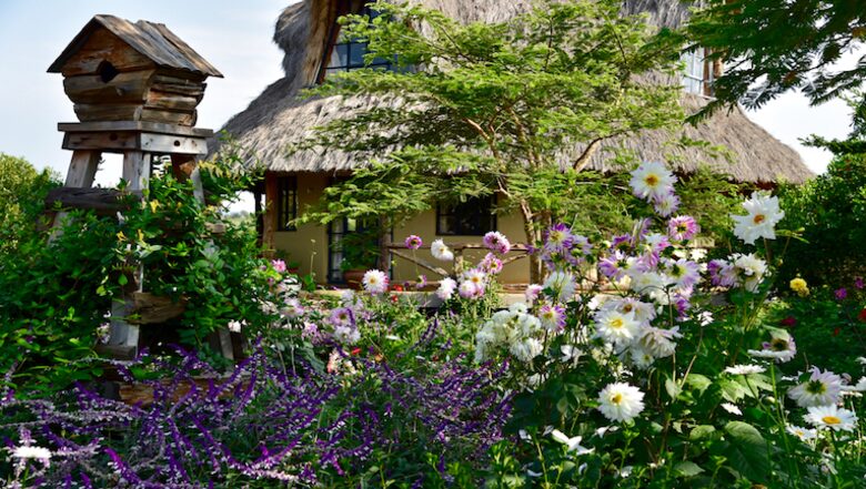 The Round House and Bunk Room at Olepangi Farm - full board - Mt. Kenya - Timau, Kenya