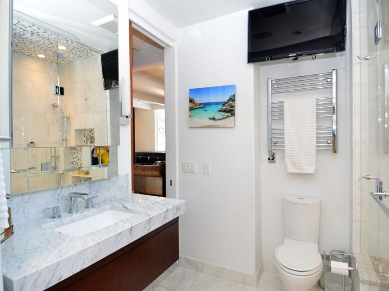 Guest bathroom