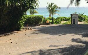 Casa Blanca Beach House (Playa's #1 Vacation Rental) - Playa del Carmen, Mexico