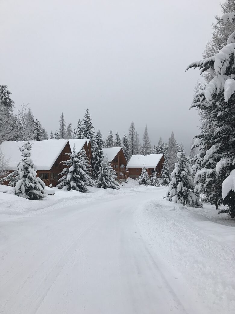 The neighborhood