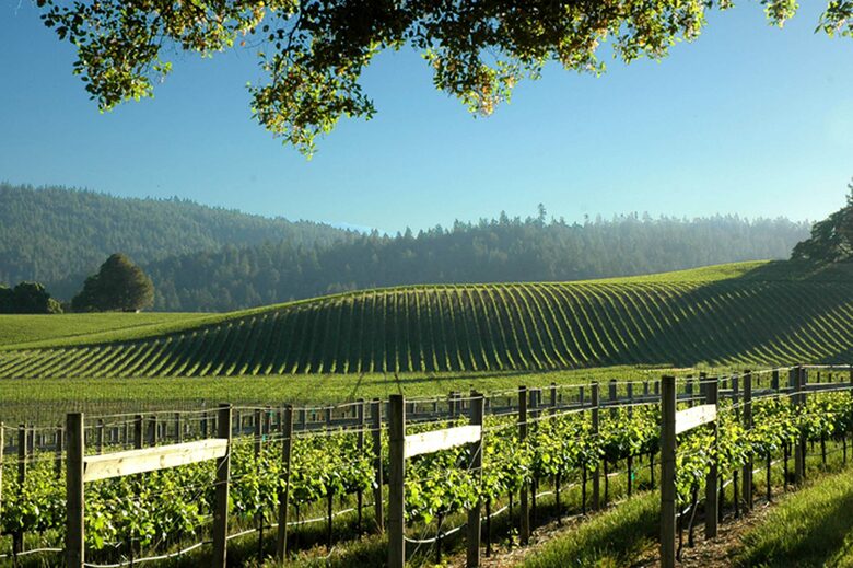 Royal Pacific - Close to San Francisco, Napa and Sonoma - Bodega Bay, California