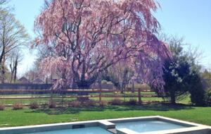 Traditional East Hampton Home - East Hampton, New York
