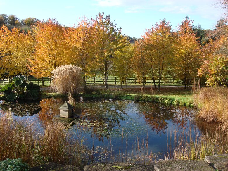 English Country house close London and Oxford - Henley on Thames, United Kingdom