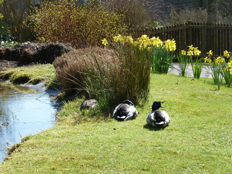 English Country house close London and Oxford - Henley on Thames, United Kingdom