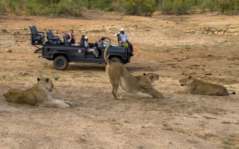 Makanyi Private Game Lodge - Hoedspruit, South Africa