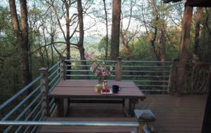 Mountain Retreat Near Greenville and Asheville - Greenville, South Carolina