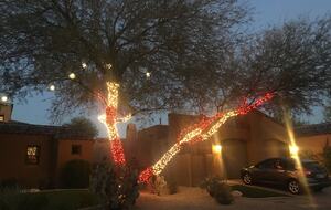 Golfer's Paradise - Scottsdale, Arizona