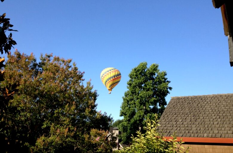 Beauty in the Heart of Wine Country! - Yountville, California