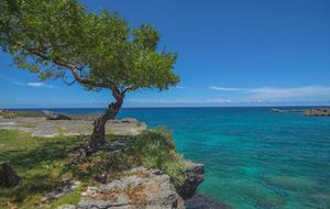 Luxury SettleDown Villa 2 at Chukka Cove in St Ann - Llandovery, Jamaica