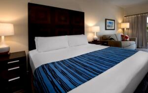 Marriott’s Grande Vista – Three-Bedroom Villa - Orlando, Florida