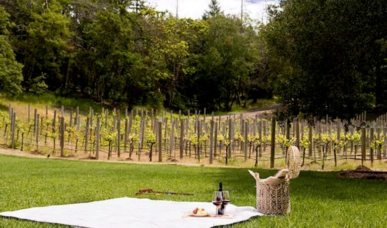 Villa Nel Bosco - Glen Ellen, California