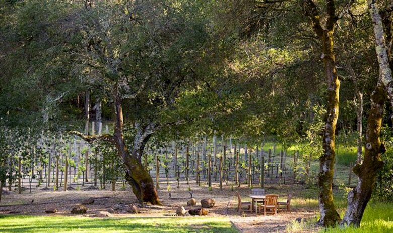 Villa Nel Bosco - Glen Ellen, California