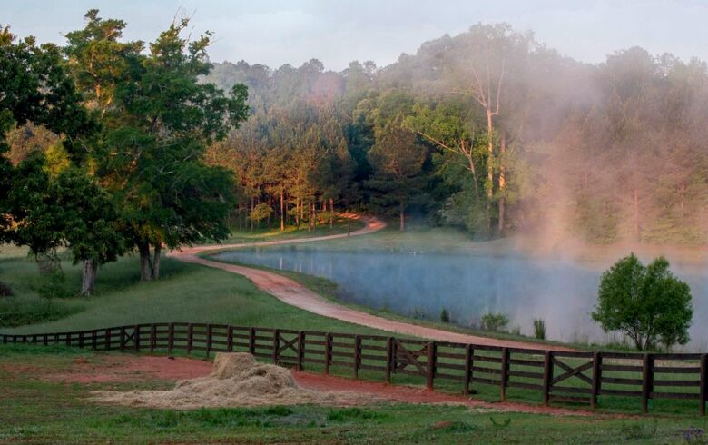 160-Acre Magnificent Estate Outside Atlanta - Greenville, Georgia