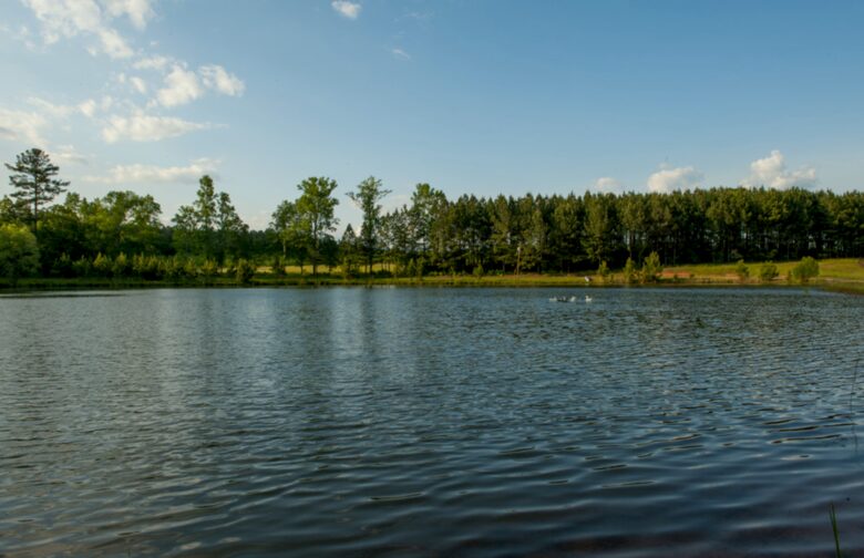 160-Acre Magnificent Estate Outside Atlanta - Greenville, Georgia