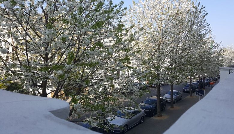 Prestige Apartment near Kensington Palace and Notting Hill, London - London, United Kingdom