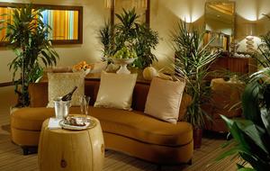 St. Regis Residence Club, Aspen 3 Bedroom