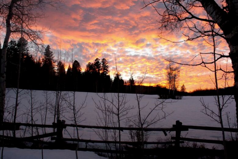 Teton Springs Cabin - Near Jackson Hole and Grand Targhee Ski Resort! - Victor, Idaho